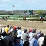 ABR Sunday Selections: Full-Card Picks for Oct. 12 from Belmont at the Big A